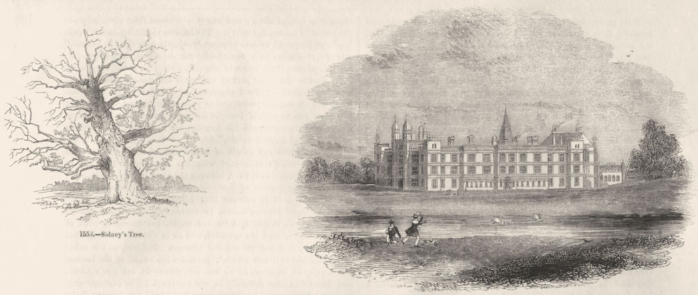CAMBS. Sidney's tree; North Burghley House 1845 old antique print picture
